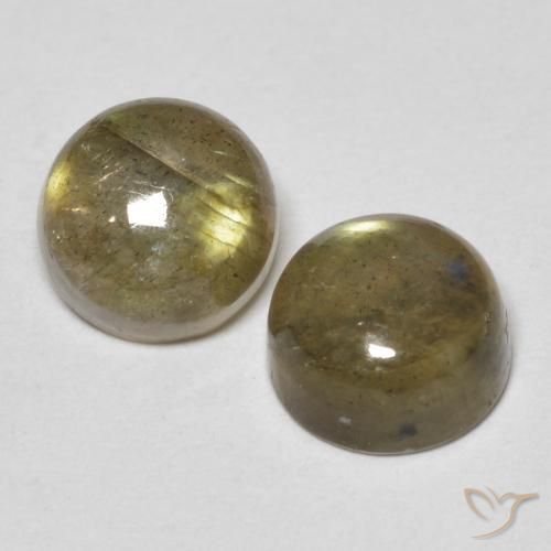 Pedras preciosas de Labradorita Multicolorido natural de 2.44 ct, Corte Redondo, Translúcido