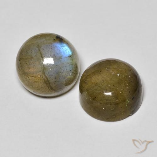 Pedras preciosas de Labradorita Multicolorido natural de 10.32 ct, Redondo, Translúcido