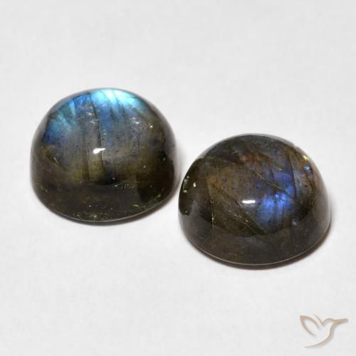 Pedras preciosas de Labradorita Multicolorido natural de 7.00 ct, Redondo, Translúcido