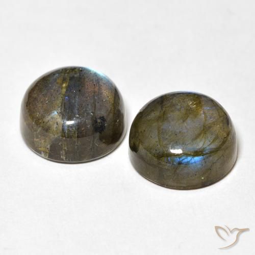 Pedras preciosas de Labradorita Multicolorido natural de 12.56 ct, Redondo, Translúcido
