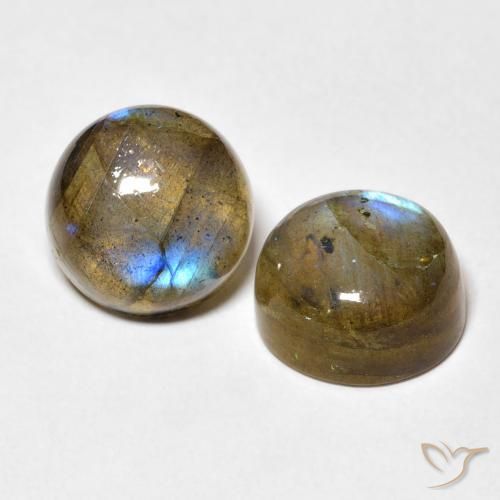 Pedras preciosas de Labradorita Multicolorido natural de 10.15 ct, Redondo, Translúcido