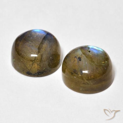 Pedras preciosas de Labradorita Multicolorido natural de 10.15 ct, Redondo, Translúcido