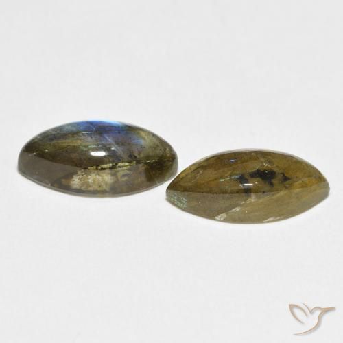 Pedras preciosas de Labradorita Multicolorido natural de 6.86 ct, Marquesa, Translúcido