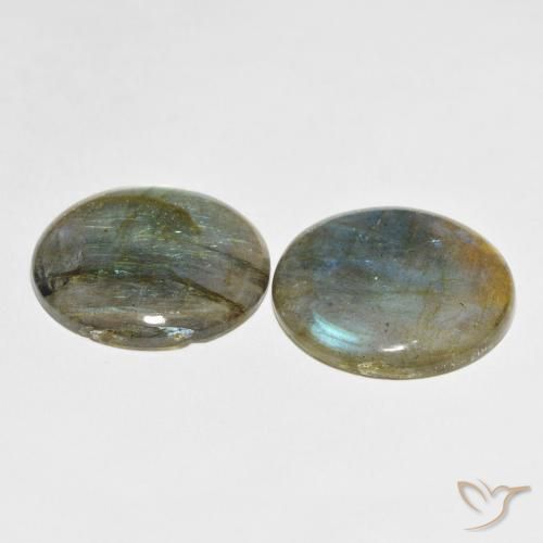 Pedras preciosas de Labradorita Multicolorido natural de 54.98 ct, Redondo, Translúcido