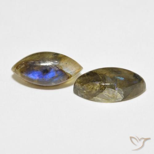 Pedras preciosas de Labradorita Multicolorido natural de 6.99 ct, Marquesa, Translúcido