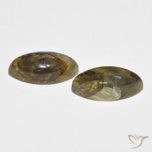 Pedras preciosas de Labradorita Multicolorido natural de 6.99 ct, Marquesa, Translúcido