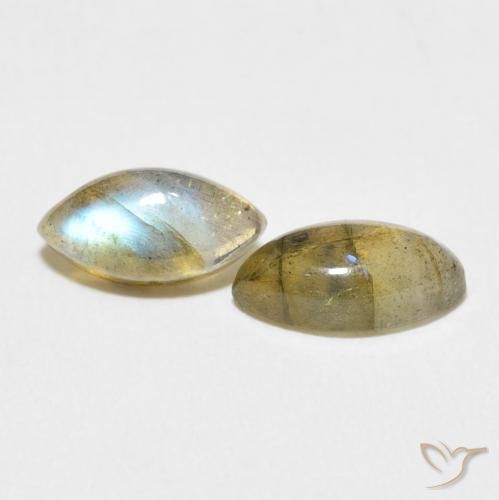 Pedras preciosas de Labradorita Multicolorido natural de 2.83 ct, Marquesa, Translúcido