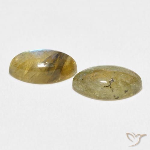 Pedras preciosas de Labradorita Multicolorido natural de 2.85 ct, Marquesa, Translúcido