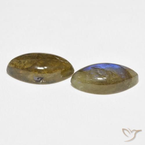 Pedras preciosas de Labradorita Multicolorido natural de 9.23 ct, Marquesa, Translúcido