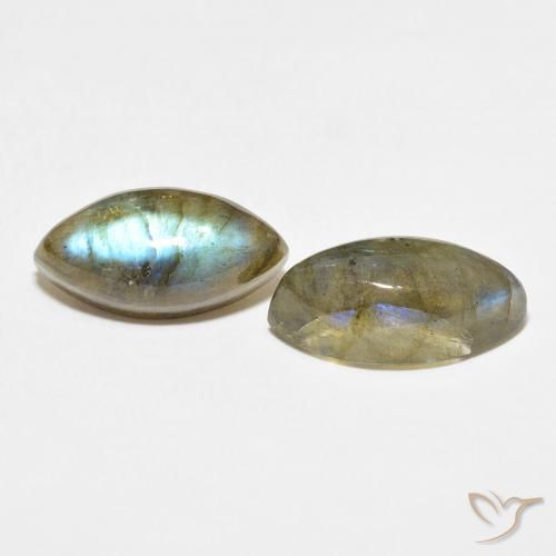 Pedras preciosas de Labradorita Multicolorido natural de 10.96 ct, Marquesa, Translúcido