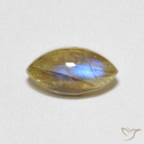 1.44ct Natural Multicolorido Labradorita, Marquesa, Translúcido