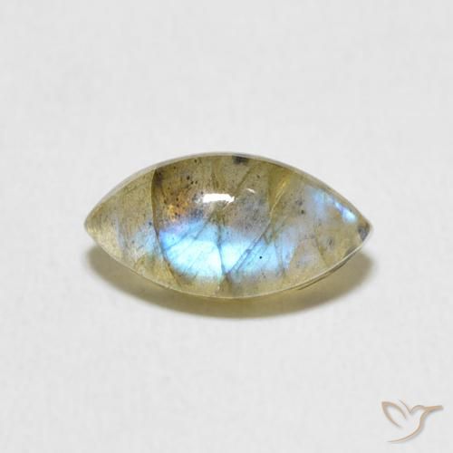 1.59ct Natural Multicolorido Labradorita, Marquesa, Translúcido