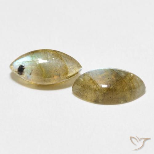 Pedras preciosas de Labradorita Multicolorido natural de 2.91 ct, Marquesa, Translúcido