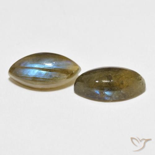 Pedras preciosas de Labradorita Multicolorido natural de 7.44 ct, Marquesa, Translúcido