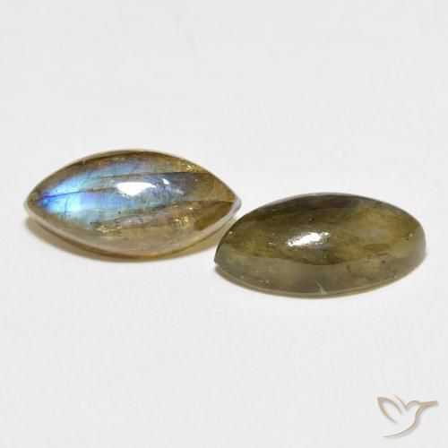 Pedras preciosas de Labradorita Multicolorido natural de 6.65 ct, Marquesa, Translúcido