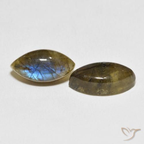 Pedras preciosas de Labradorita Multicolorido natural de 11.07 ct, Marquesa, Translúcido