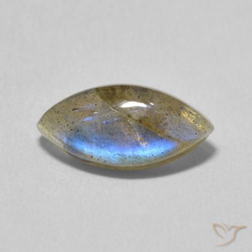 3.14ct Natural Multicolorido Labradorita, Marquesa, Translúcido