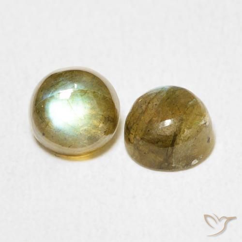 Pedras preciosas de Labradorita Multicolorido natural de 1.38 ct, Redondo, Translúcido