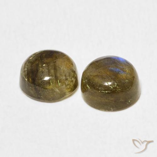 Pedras preciosas de Labradorita Multicolorido natural de 2.24 ct, Redondo, Translúcido