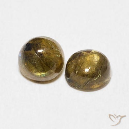 Pedras preciosas de Labradorita Multicolorido natural de 1.37 ct, Redondo, Translúcido