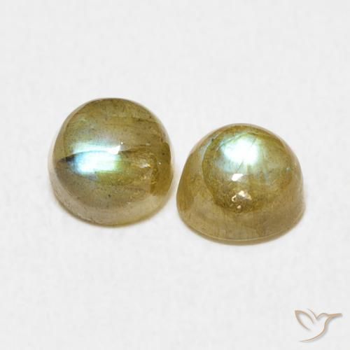 Pedras preciosas de Labradorita Multicolorido natural de 1.50 ct, Redondo, Translúcido