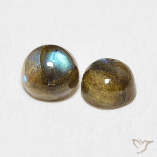 Pedras preciosas de Labradorita Multicolorido natural de 1.38 ct, Redondo, Translúcido