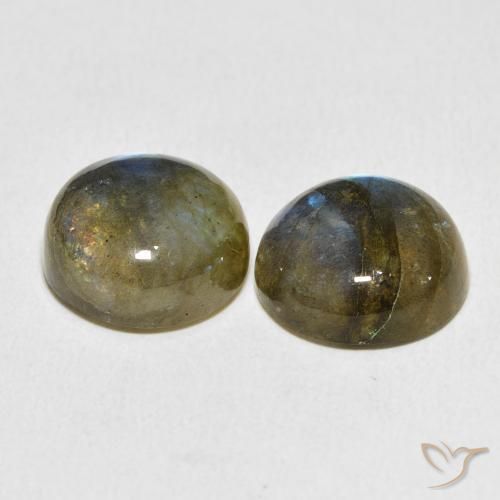 Pedras preciosas de Labradorita Multicolorido natural de 14.02 ct, Redondo, Translúcido