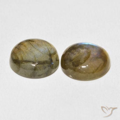 Pedras preciosas de Labradorita Multicolorido natural de 11.18 ct, Redondo, Translúcido