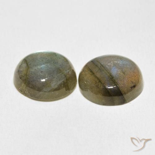 Pedras preciosas de Labradorita Multicolorido natural de 13.90 ct, Redondo, Translúcido