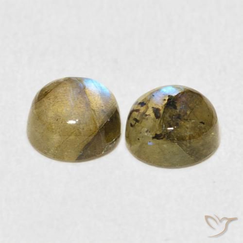 Pedras preciosas de Labradorita Multicolorido natural de 2.16 ct, Redondo, Translúcido