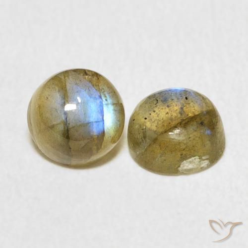 Pedras preciosas de Labradorita Multicolorido natural de 2.35 ct, Redondo, Translúcido