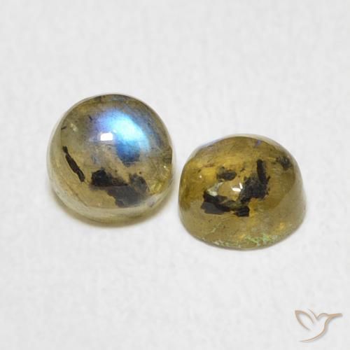 Pedras preciosas de Labradorita Multicolorido natural de 1.34 ct, Redondo, Translúcido