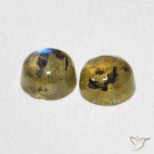 Pedras preciosas de Labradorita Multicolorido natural de 1.34 ct, Redondo, Translúcido