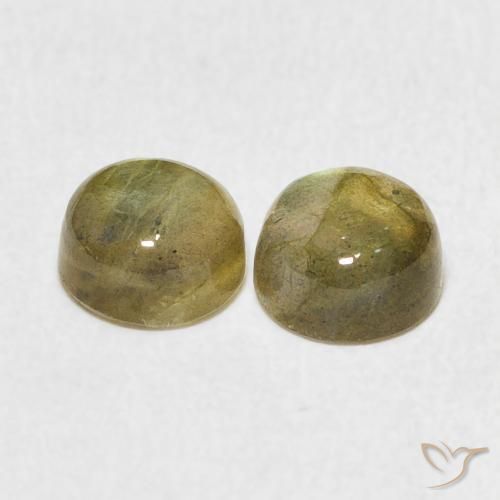 Pedras preciosas de Labradorita Multicolorido natural de 2.50 ct, Redondo, Translúcido