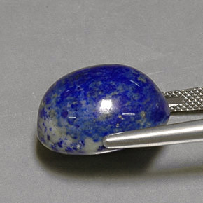 Lápis-lazúli azul natural 25,84ct, corte oval, opaco