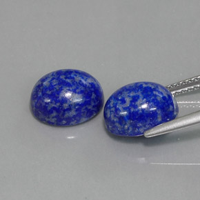 Pedras preciosas de lápis-lazúli azul natural de  ct, corte oval, opaco