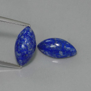Pedras preciosas de lápis-lazúli azul natural de  ct, marquise, opaco