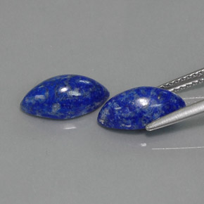 Pedras preciosas de lápis-lazúli azul natural de  ct, marquise, opaco