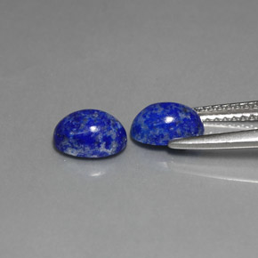 Pedras preciosas de lápis-lazúli azul natural de  ct, corte oval, opaco