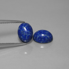 Pedras preciosas de lápis-lazúli azul natural de  ct, corte oval, opaco