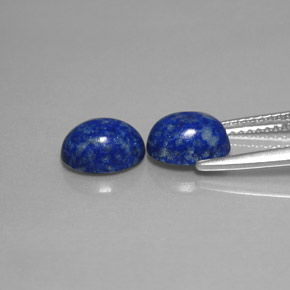 Pedras preciosas de lápis-lazúli azul natural de  ct, corte oval, opaco