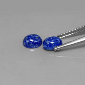 Pedras preciosas de lápis-lazúli azul natural de  ct, corte oval, opaco
