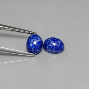Pedras preciosas de lápis-lazúli azul natural de  ct, corte oval, opaco