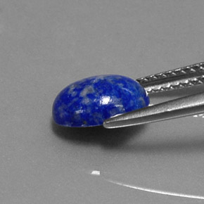 Lápis-lazúli azul natural 1,67ct, corte oval, opaco