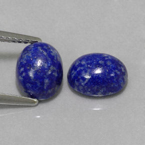 Pedras preciosas de lápis-lazúli azul natural de  ct, corte oval, opaco