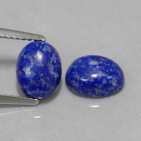 Pedras preciosas de lápis-lazúli azul natural de  ct, corte oval, opaco