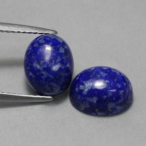 Pedras preciosas de lápis-lazúli azul natural de  ct, corte oval, opaco