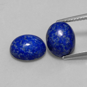 Pedras preciosas de lápis-lazúli azul natural de  ct, corte oval, opaco