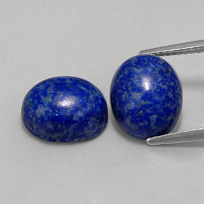 Pedras preciosas de lápis-lazúli azul natural de  ct, corte oval, opaco