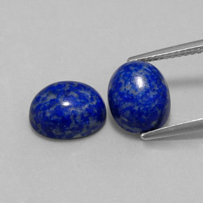 Pedras preciosas de lápis-lazúli azul natural de  ct, corte oval, opaco